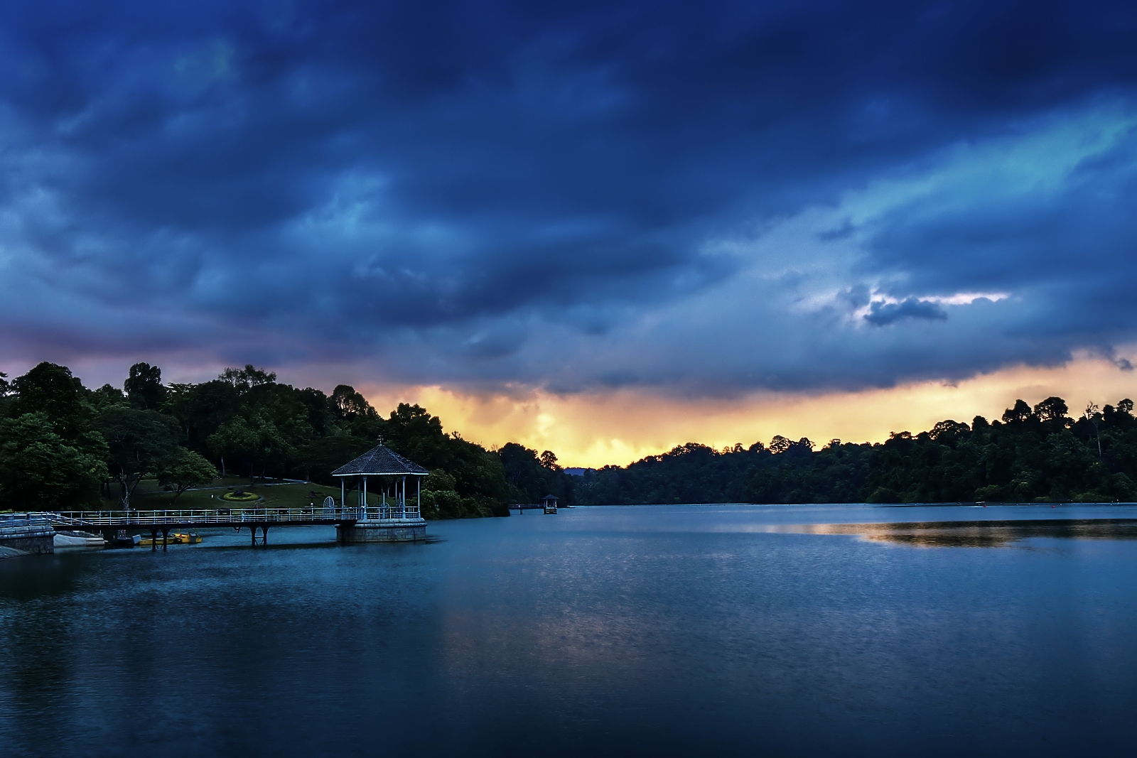 MacRitchie Reservoir